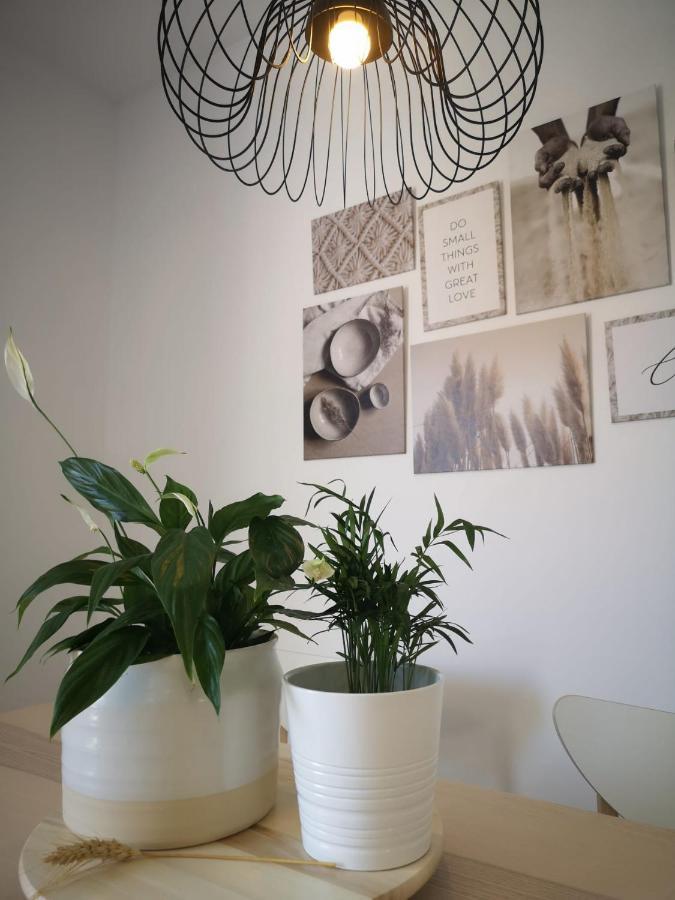 Apartamento Suite Arco De La Villa,Solo Familia Y Parejas,Parking Gratuito Conil De La Frontera Esterno foto